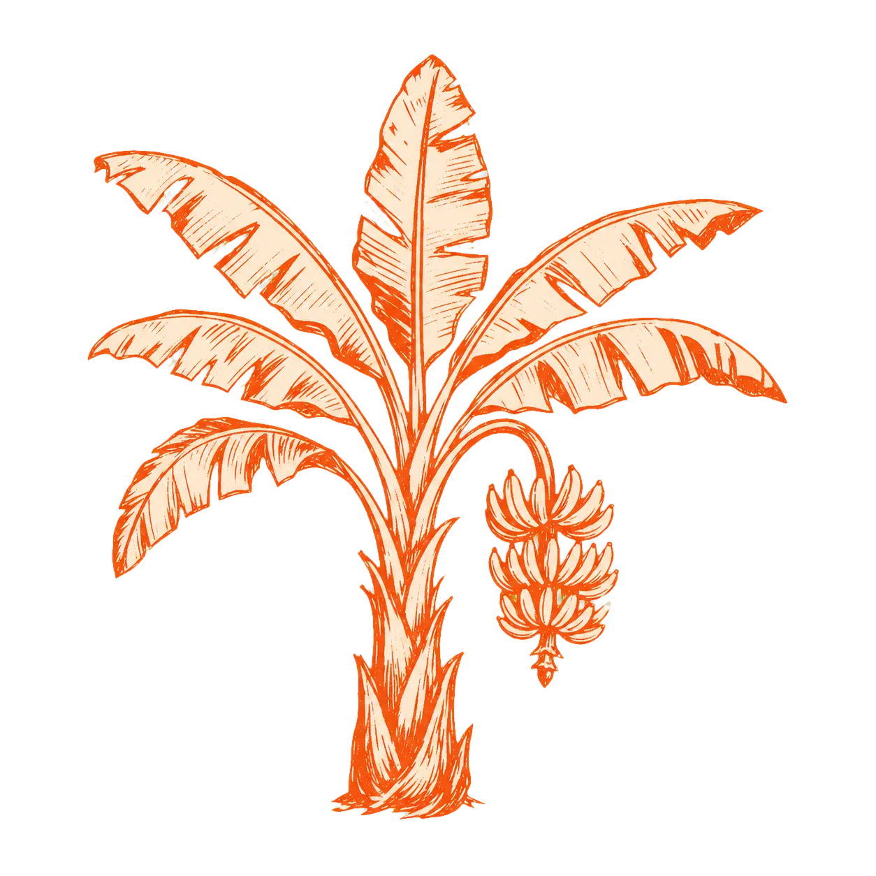 Ilustración naranja de una platanera canaria